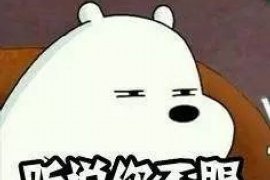 蠡县工资清欠服务